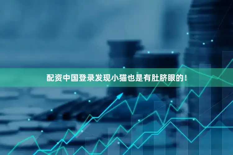 配资中国登录发现小猫也是有肚脐眼的！
