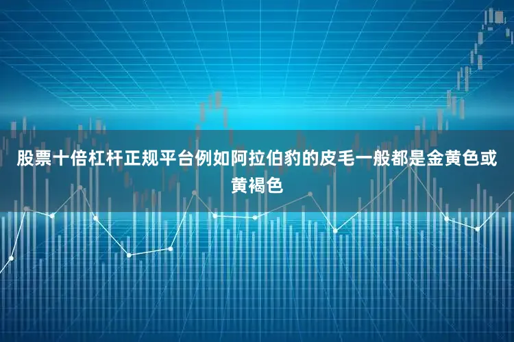 股票十倍杠杆正规平台例如阿拉伯豹的皮毛一般都是金黄色或黄褐色