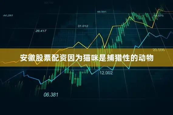 安徽股票配资因为猫咪是捕猎性的动物